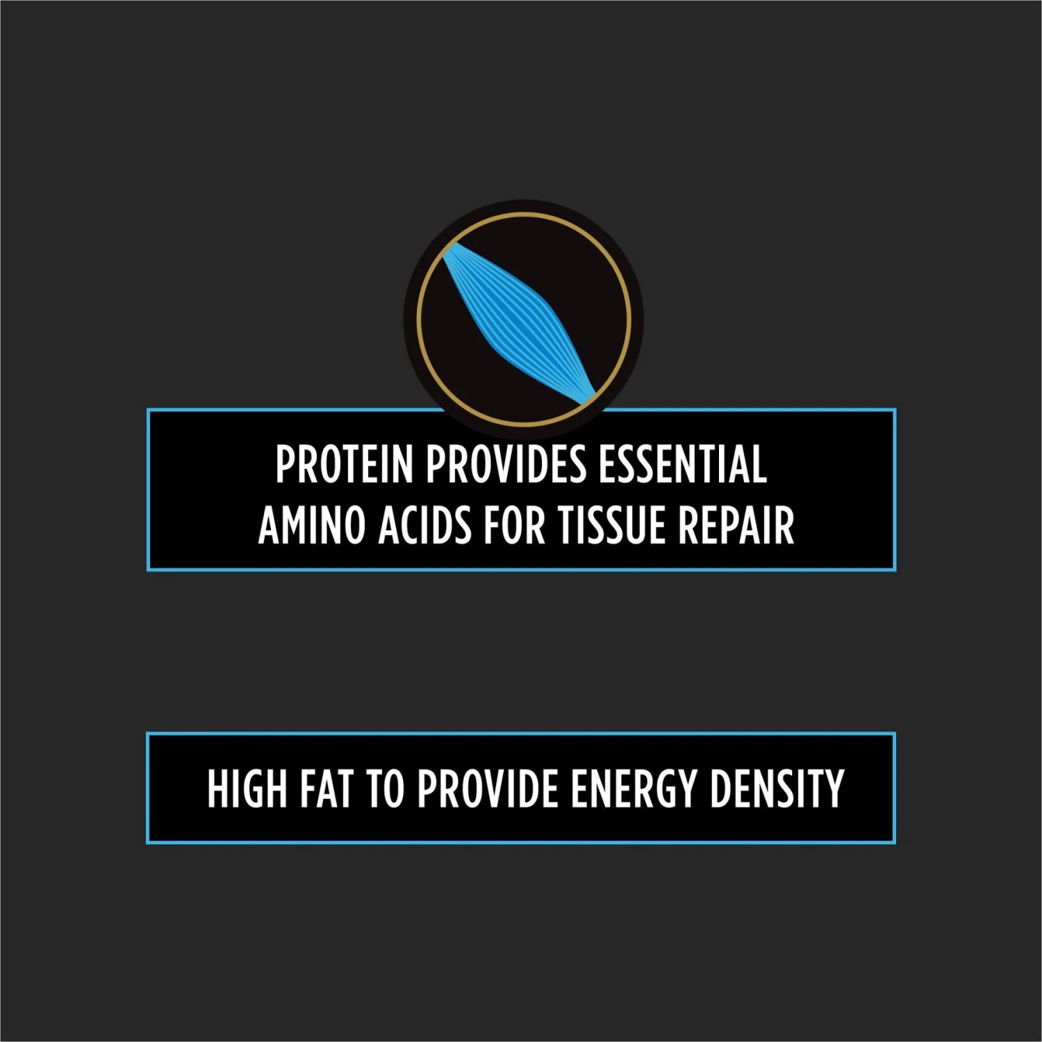 Purina Pro Plan Veterinary Diets CN Critical Nutrition Wet Dog & Cat Food 5 Purina Pro Plan Veterinary Diets CN Critical Nutrition Wet Dog & Cat Food - Image 5