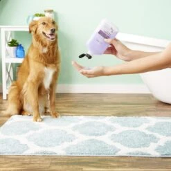 Isle Of Dogs Lush Coating Shampoo For Dogs -Pet Wellness 92265 PT3. AC SS1800 V1543533185