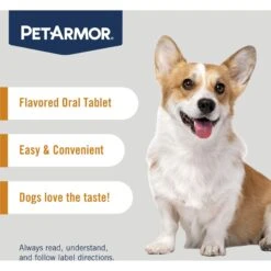 PetArmor 7 Way Dewormer For Hookworms, Roundworms & Tapeworms For Small Breed Dogs -Pet Wellness 92365 PT3. AC SS1800 V1696533203
