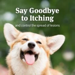 PetArmor Anti-Itch Spray For Dogs & Cats -Pet Wellness 92368 PT5. AC SS1800 V1543533193