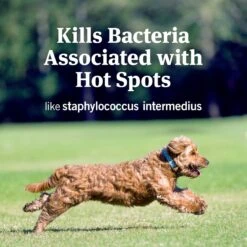 PetArmor Hot Spot Skin Remedy Non-Stinging Formula For Dogs -Pet Wellness 92415 PT5. AC SS1800 V1595424989