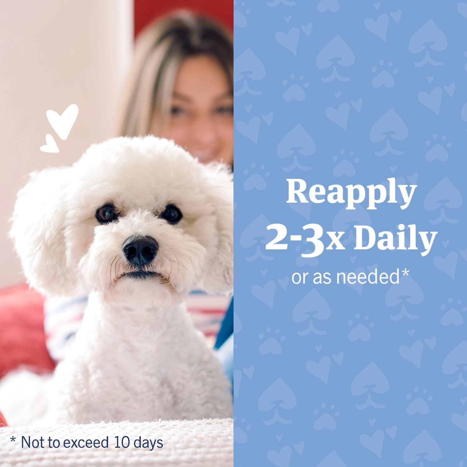 PetArmor Hydrocortisone Quick Relief Spray For Dogs & Cats 3 PetArmor Hydrocortisone Quick Relief Spray For Dogs & Cats - Image 3