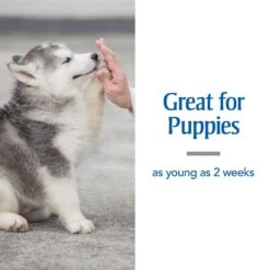 PetArmor Sure Shot 2X Dewormer For Hookworms & Roundworms For Dogs -Pet Wellness 92435 PT3. AC SS1800 V1595424661