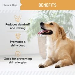 Chew + Heal Omega Skin + Coat Softgels Made With Wild-Caught Fish Oil Supplement For Dogs & Cats -Pet Wellness 931798 PT4. AC SS1800 V1692386933