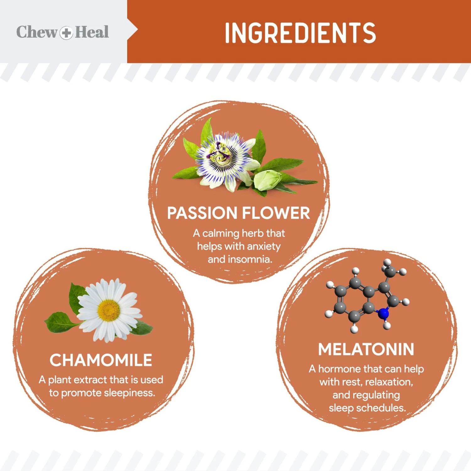 Chew + Heal Anxiety & Stress Dog Supplement 2 Chew + Heal Anxiety & Stress Dog Supplement - Image 2