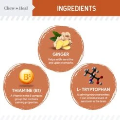 Chew + Heal Anxiety & Stress Dog Supplement 11 Chew + Heal Anxiety & Stress Dog Supplement -Pet Wellness 931830 PT2. AC SS1800 V1692386504