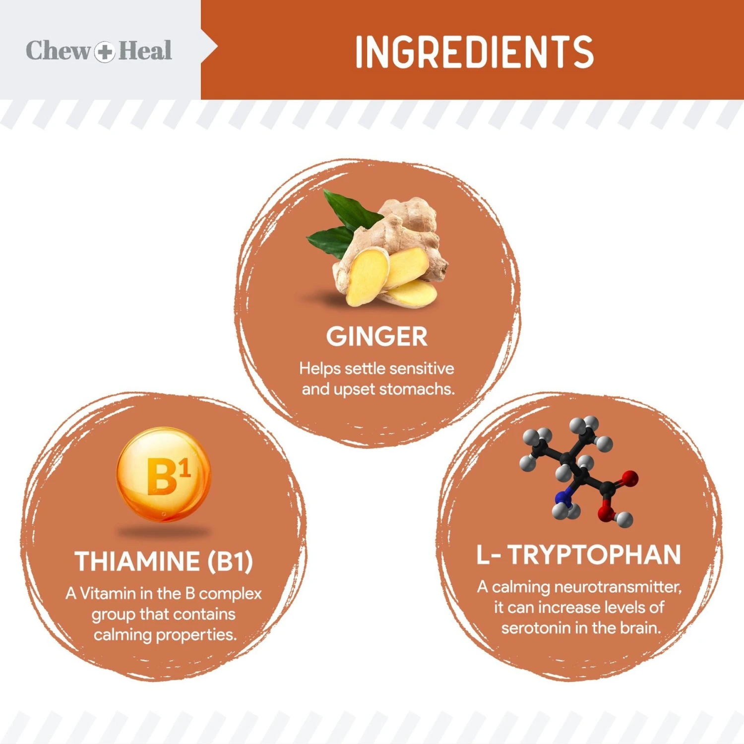 Chew + Heal Anxiety & Stress Dog Supplement 3 Chew + Heal Anxiety & Stress Dog Supplement - Image 3