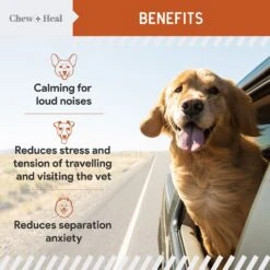 Chew + Heal Anxiety & Stress Dog Supplement 12 Chew + Heal Anxiety & Stress Dog Supplement -Pet Wellness 931830 PT3. AC SS1800 V1692364667