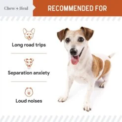 Chew + Heal Anxiety & Stress Dog Supplement 14 Chew + Heal Anxiety & Stress Dog Supplement -Pet Wellness 931830 PT5. AC SS1800 V1692386450