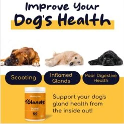 Healthy Pup Glands Bowel Support Soft Chew Digestive Supplement For Dogs, 120 Count 11 Healthy Pup Glands Bowel Support Soft Chew Digestive Supplement For Dogs, 120 Count -Pet Wellness 931846 PT2. AC SS1800 V1692390676