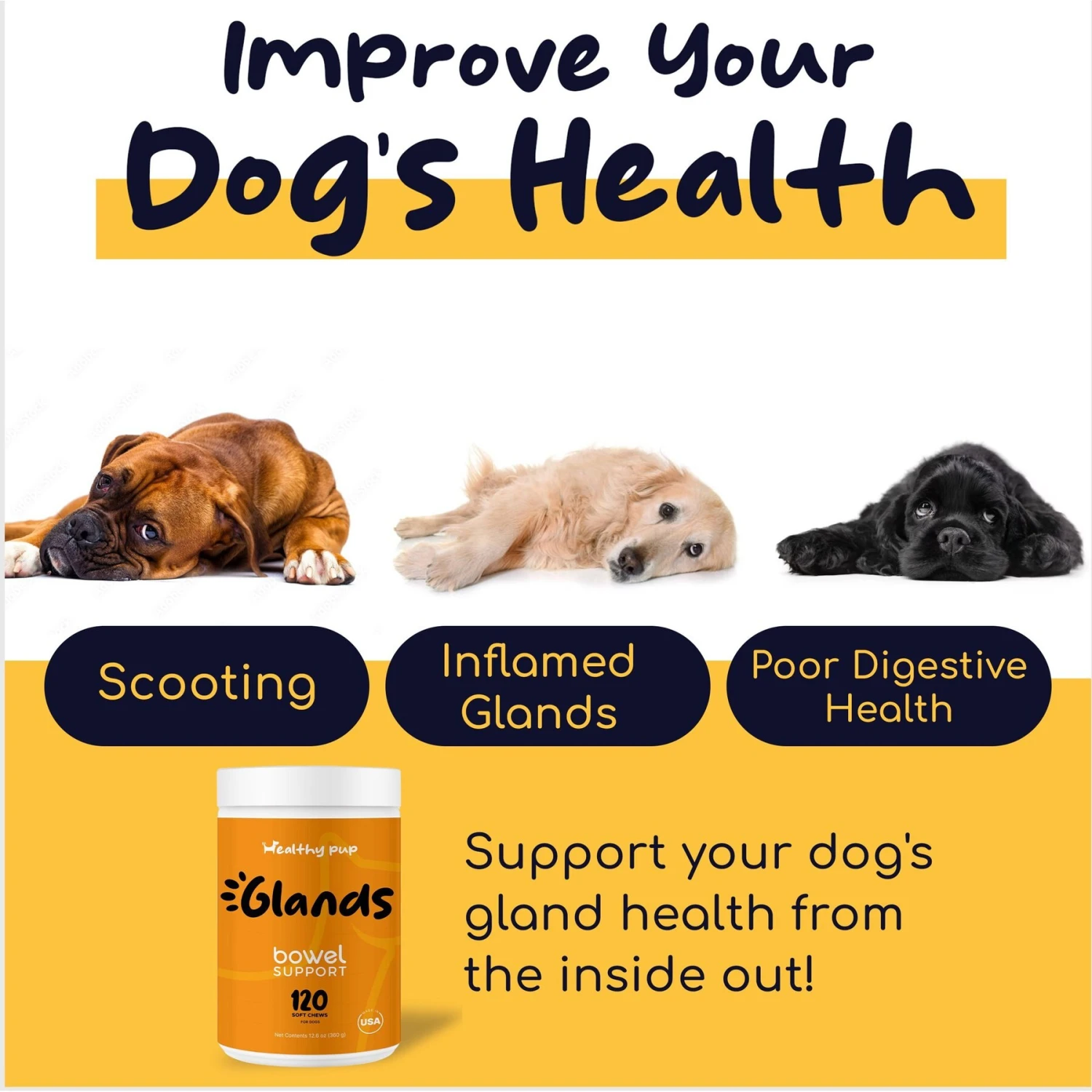Healthy Pup Glands Bowel Support Soft Chew Digestive Supplement For Dogs, 120 Count 3 Healthy Pup Glands Bowel Support Soft Chew Digestive Supplement For Dogs, 120 Count - Image 3