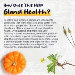 Healthy Pup Glands Bowel Support Soft Chew Digestive Supplement For Dogs, 120 Count 13 Healthy Pup Glands Bowel Support Soft Chew Digestive Supplement For Dogs, 120 Count -Pet Wellness 931846 PT4. AC SS1800 V1692390737