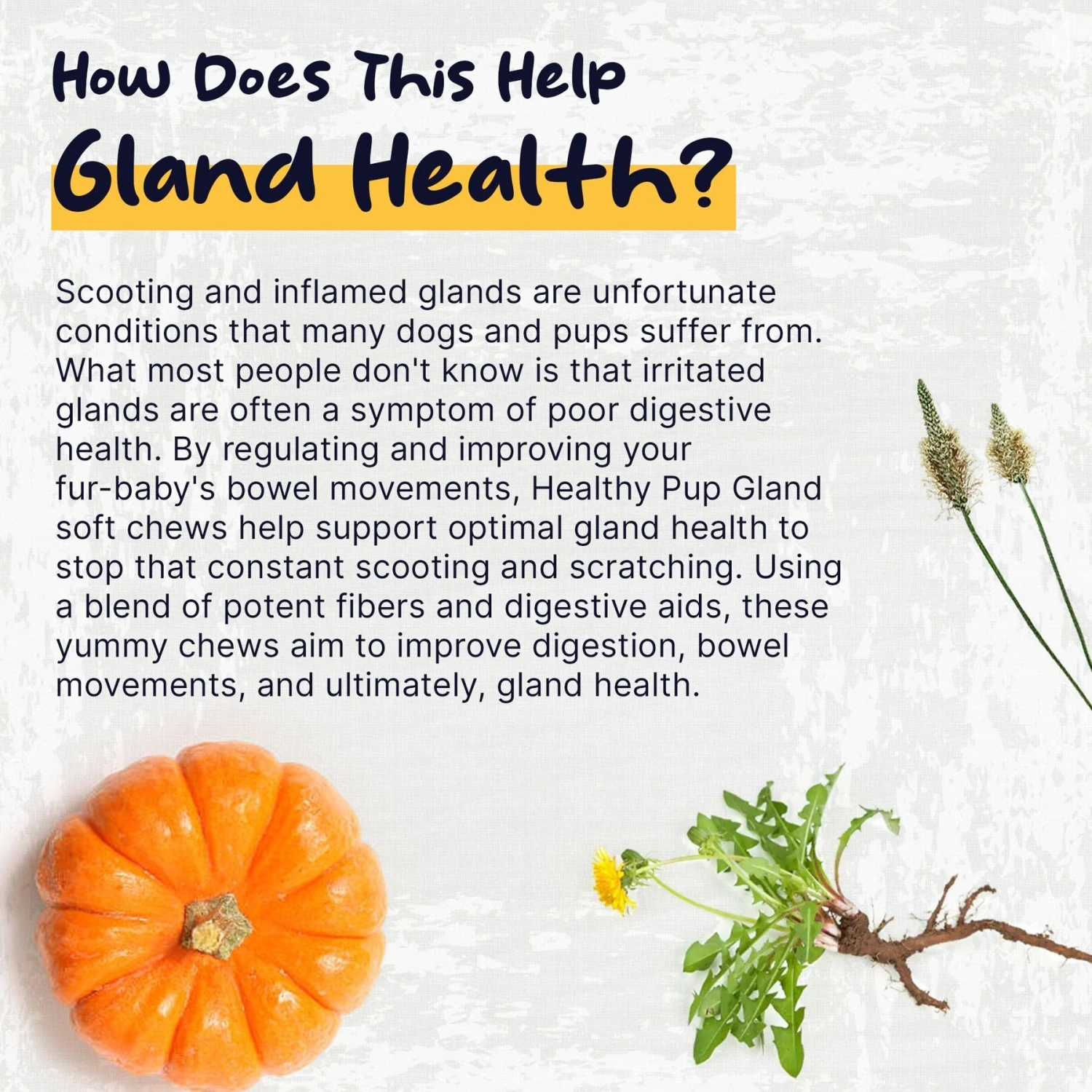 Healthy Pup Glands Bowel Support Soft Chew Digestive Supplement For Dogs, 120 Count 5 Healthy Pup Glands Bowel Support Soft Chew Digestive Supplement For Dogs, 120 Count - Image 5