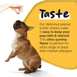 Healthy Pup Calming Peanut Butter Bliss Dog Supplement, 60 Count -Pet Wellness 931862 PT6. AC SS1800 V1692364667