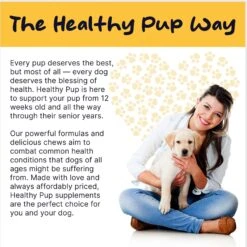 Healthy Pup Calming Peanut Butter Bliss Dog Supplement, 60 Count -Pet Wellness 931862 PT8. AC SS1800 V1692390736