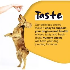 Healthy Pup Multi Max All-In-One Dog Multivitamin, 120 Count 15 Healthy Pup Multi Max All-In-One Dog Multivitamin, 120 Count -Pet Wellness 931878 PT6. AC SS1800 V1692364667