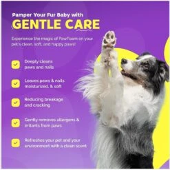 Petnatics The Original PawFoam Dog & Cat Grooming Foam, Purple, 5-oz Bottle -Pet Wellness 931894 PT3. AC SS1800 V1691446783