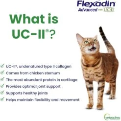 Vetoquinol Flexadin Advanced With UCII Collagen Soft Chews Joint Supplement For Dogs & Cats -Pet Wellness 93319 PT3. AC SS1800 V1697483581