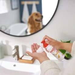 Douxo S3 PYO Antiseptic Antifungal Chlorhexidine Dog & Cat Shampoo & Douxo S3 PYO Antiseptic Antifungal Chlorhexidine Dog Mousse, 5.1-oz Bottle -Pet Wellness 933478 PT8. AC SS1800 V1692305509