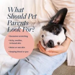 Sulfodene 3-Way Ointment For Dogs & Veterinary Formula Clinical Care Hot Spot & Itch Relief Spray -Pet Wellness 933494 PT8. AC SS1800 V1692305201