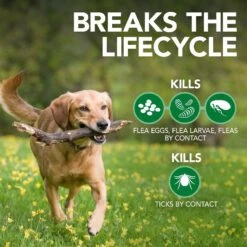 Vet's Best Indoor Flea & Tick Home Spray Refill For Dogs & Vet's Best Advanced Strength Flea & Tick Dog Shampoo -Pet Wellness 933550 PT8. AC SS1800 V1692304549