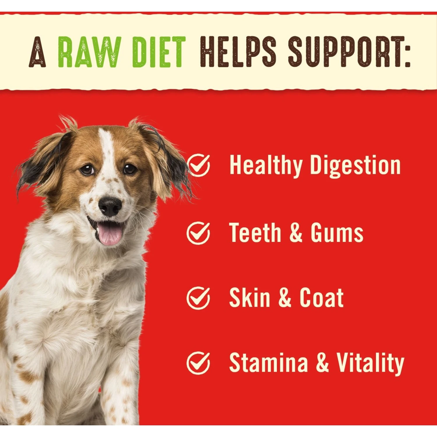 Stella & Chewy's Duck Duck Goose Dinner Patties Freeze-Dried Raw Dog Food 3 Stella & Chewy's Duck Duck Goose Dinner Patties Freeze-Dried Raw Dog Food - Image 3
