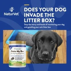 NaturVet Outta My Box Soft Chews Digestive Supplement For Cats & Dogs -Pet Wellness 93631 PT3. AC SS1800 V1698694965