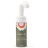 Dandylion Clean Paws Dog Foaming Cleanser, 5-oz Bottle