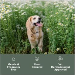 Dandylion Clean Paws Dog Foaming Cleanser, 5-oz Bottle 10 Dandylion Clean Paws Dog Foaming Cleanser, 5-oz Bottle -Pet Wellness 937774 PT2. AC SS1800 V1692979839