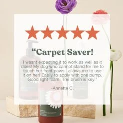 Dandylion Clean Paws Dog Foaming Cleanser, 5-oz Bottle 14 Dandylion Clean Paws Dog Foaming Cleanser, 5-oz Bottle -Pet Wellness 937774 PT6. AC SS1800 V1692889056