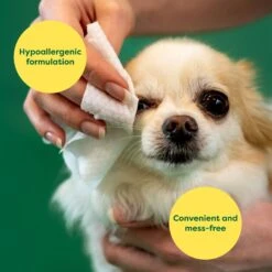 Earth Rated Hypoallergenic Plant Based Fragrance Free Dog Eye Wipes, 60 Count -Pet Wellness 938446 PT3. AC SS1800 V1692302264