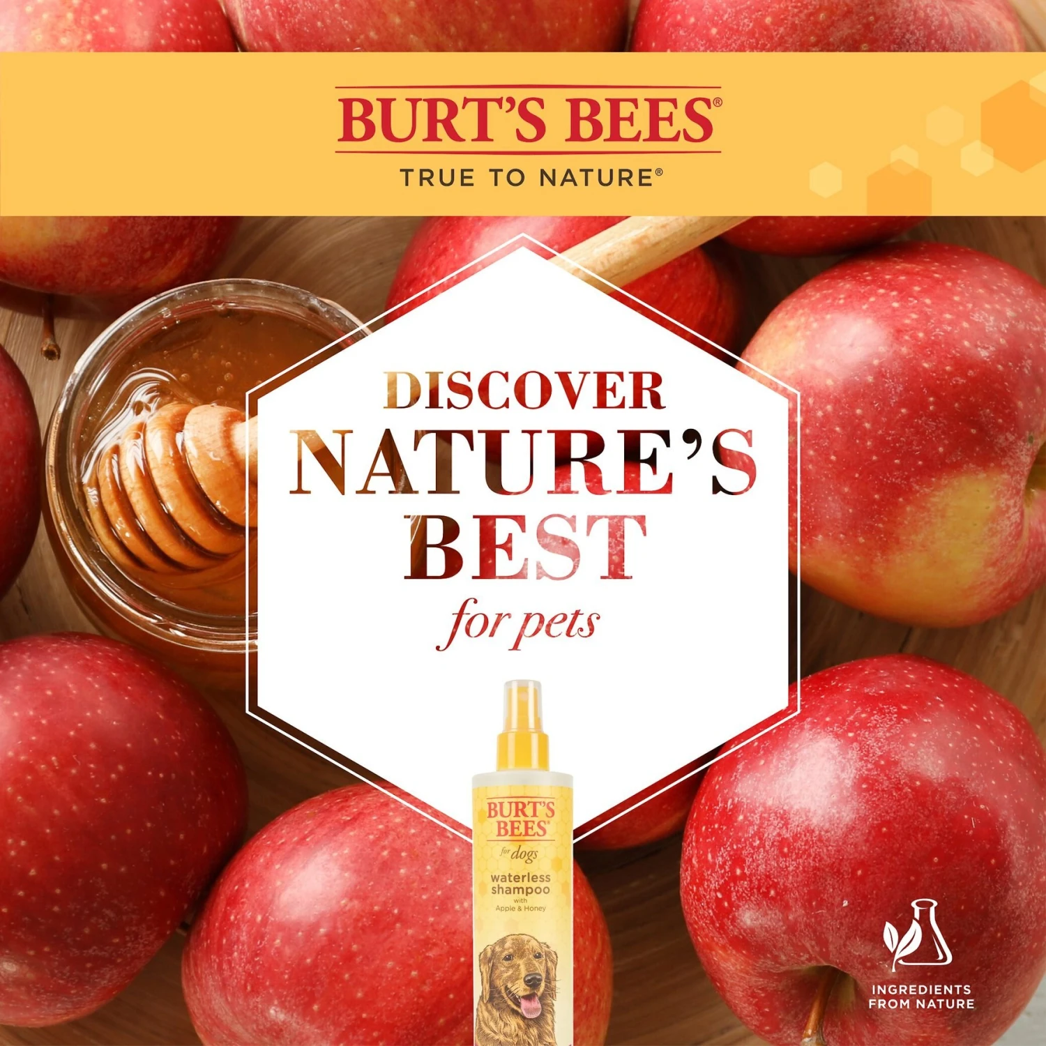 Burt's Bees Waterless Shampoo With Apple & Honey For Dogs 4 Burt's Bees Waterless Shampoo With Apple & Honey For Dogs - Image 4