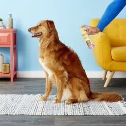 Burt's Bees Waterless Shampoo With Apple & Honey For Dogs 9 Burt's Bees Waterless Shampoo With Apple & Honey For Dogs -Pet Wellness 94045 PT4. AC SS1800 V1524865640