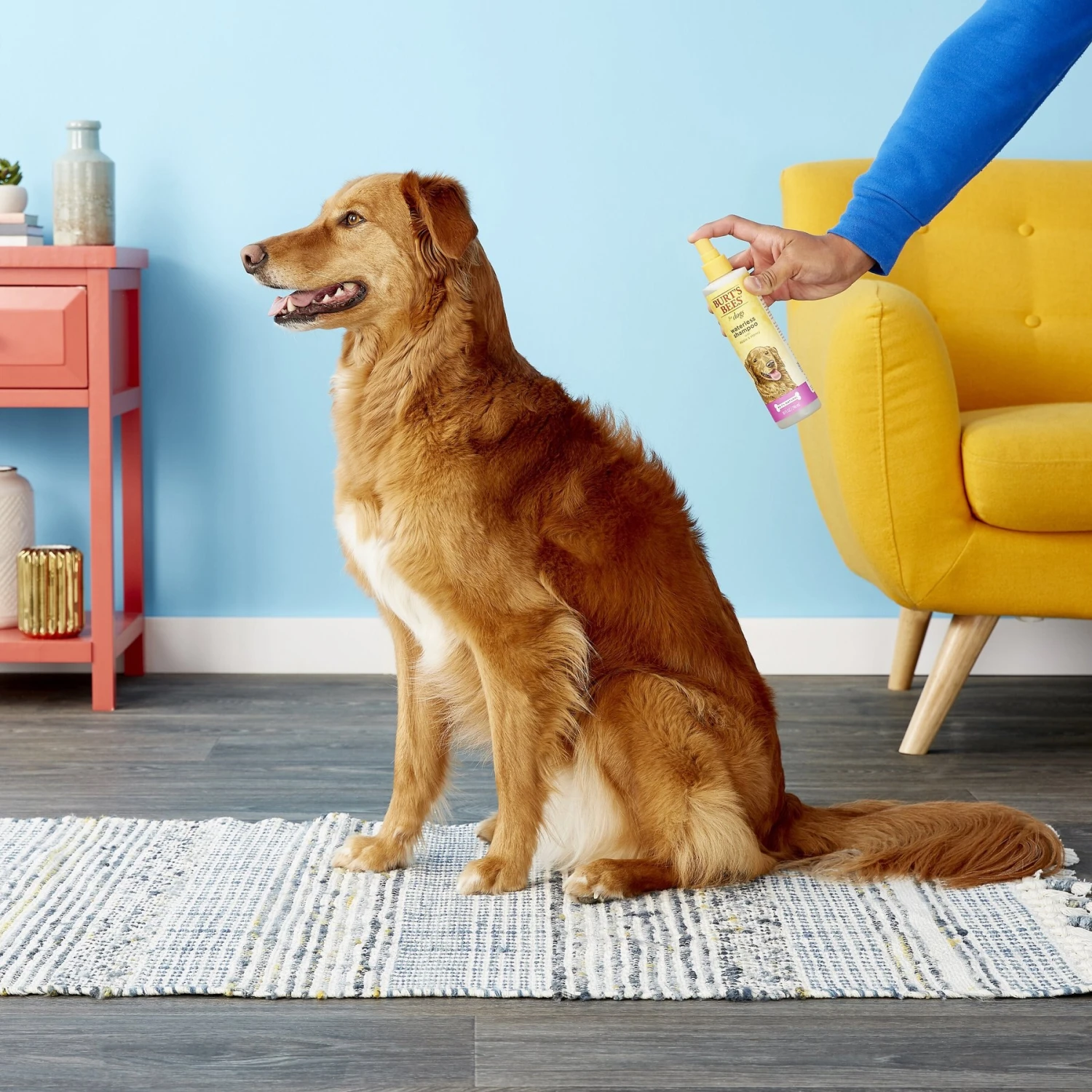 Burt's Bees Waterless Shampoo With Apple & Honey For Dogs 5 Burt's Bees Waterless Shampoo With Apple & Honey For Dogs - Image 5