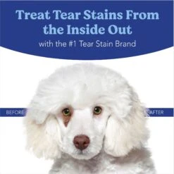 Angels' Eyes Gentle Tear Stain Wipes For Dogs & Angels' Eyes Natural Chicken Flavored Soft Chew Tear Stain Supplement For Dogs & Cats -Pet Wellness 941614 PT8. AC SS1800 V1692796389