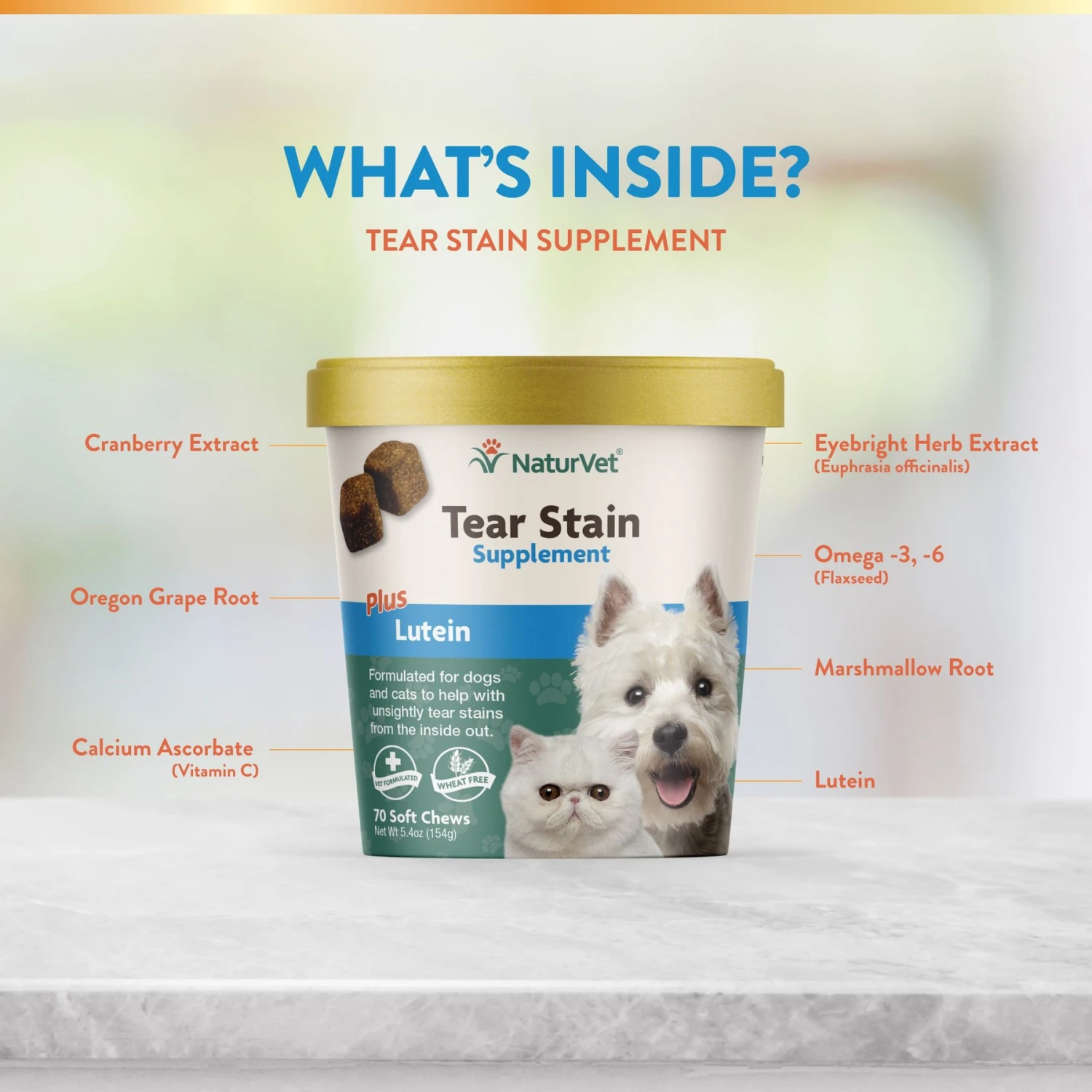 NaturVet Tear Stain Plus Lutein Soft Chews Vision Supplement For Cats & Dogs & NaturVet Tear Stain Remover Dog & Cat Liquid Topical Formula 4 NaturVet Tear Stain Plus Lutein Soft Chews Vision Supplement For Cats & Dogs & NaturVet Tear Stain Remover Dog & Cat Liquid Topical Formula - Image 4
