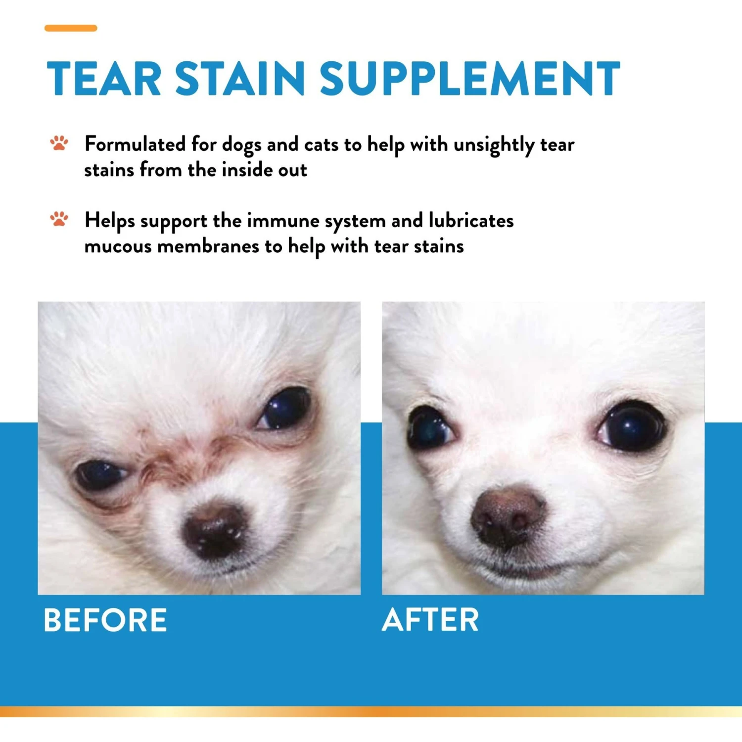 NaturVet Tear Stain Plus Lutein Soft Chews Vision Supplement For Cats & Dogs & NaturVet Tear Stain Remover Dog & Cat Liquid Topical Formula 5 NaturVet Tear Stain Plus Lutein Soft Chews Vision Supplement For Cats & Dogs & NaturVet Tear Stain Remover Dog & Cat Liquid Topical Formula - Image 5