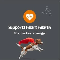 Zesty Paws Healthy Aging NAD+ Precursor Cellular Energy, Brain, & Heart Supplement + Probiotic Pill Wrap For Dogs -Pet Wellness 945862 PT5. AC SS1800 V1701379887