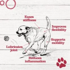 Dr. Pol Mobility Chews With MSM - Glucosamine For Dogs -Pet Wellness 946678 PT5. AC SS1800 V1693253539