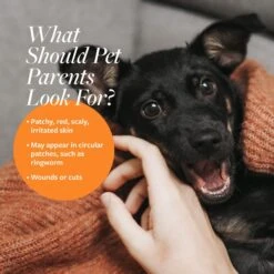 Veterinary Formula Clinical Care Antiseptic & Antifungal Spray & Sulfodene 3-Way Ointment For Dogs -Pet Wellness 947470 PT8. AC SS1800 V1693602687