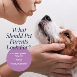 Veterinary Formula Clinical Care Antiparasitic & Antiseborrheic Shampoo & Veterinary Formula Clinical Care Antiseptic & Antifungal Spray -Pet Wellness 947486 PT4. AC SS1800 V1693921659
