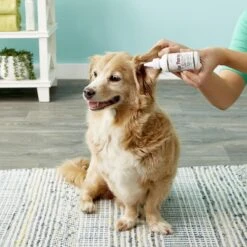 NaturPet Ear Drops Natural Remedy For Ear Infections For Dogs & Cats & Dr. Gold's Ear Therapy For Dogs & Cats -Pet Wellness 947630 PT8. AC SS1800 V1693601869