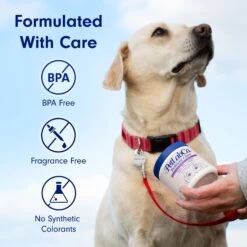 PetLab Co. Itch Relief Pork Flavor Dog Supplement, 30 Count & PetLab Co. Probiotic Pork Flavored Soft Chews Digestive Supplement For Dogs, 30 Count -Pet Wellness 947814 PT8. AC SS1800 V1693344549