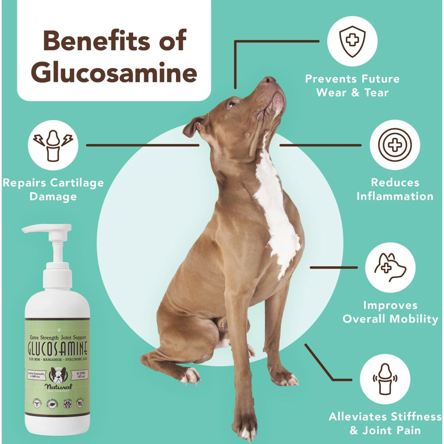 Natural Dog Company Liquid Glucosamine Hip & Joint Oil, 16-oz Bottle & Natural Dog Company Wild Alaskan Salmon Oil Liquid Skin & Coat Supplement For Dogs 5 Natural Dog Company Liquid Glucosamine Hip & Joint Oil, 16-oz Bottle & Natural Dog Company Wild Alaskan Salmon Oil Liquid Skin & Coat Supplement For Dogs - Image 5