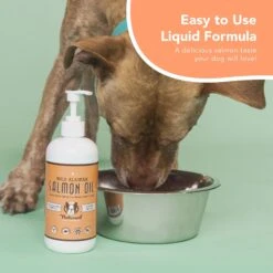 Natural Dog Company Liquid Glucosamine Hip & Joint Oil, 16-oz Bottle & Natural Dog Company Wild Alaskan Salmon Oil Liquid Skin & Coat Supplement For Dogs 17 Natural Dog Company Liquid Glucosamine Hip & Joint Oil, 16-oz Bottle & Natural Dog Company Wild Alaskan Salmon Oil Liquid Skin & Coat Supplement For Dogs -Pet Wellness 947846 PT8. AC SS1800 V1693344493