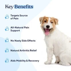 Pawfy Pain Management Bacon Flavor Chews Dog Supplement & Pawfy Hip & Joint Chicken Flavor Chews Dog Supplement -Pet Wellness 947854 PT3. AC SS1800 V1693344492