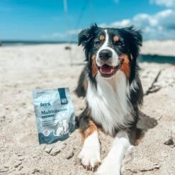 Fera Pet Organics Multivitamin Goat Milk Topper For Dogs & Cats, 60 Count -Pet Wellness 951670 PT3. AC SS1800 V1694619717