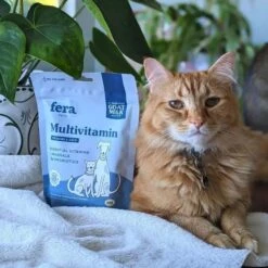 Fera Pet Organics Multivitamin Goat Milk Topper For Dogs & Cats, 60 Count -Pet Wellness 951670 PT4. AC SS1800 V1694620381