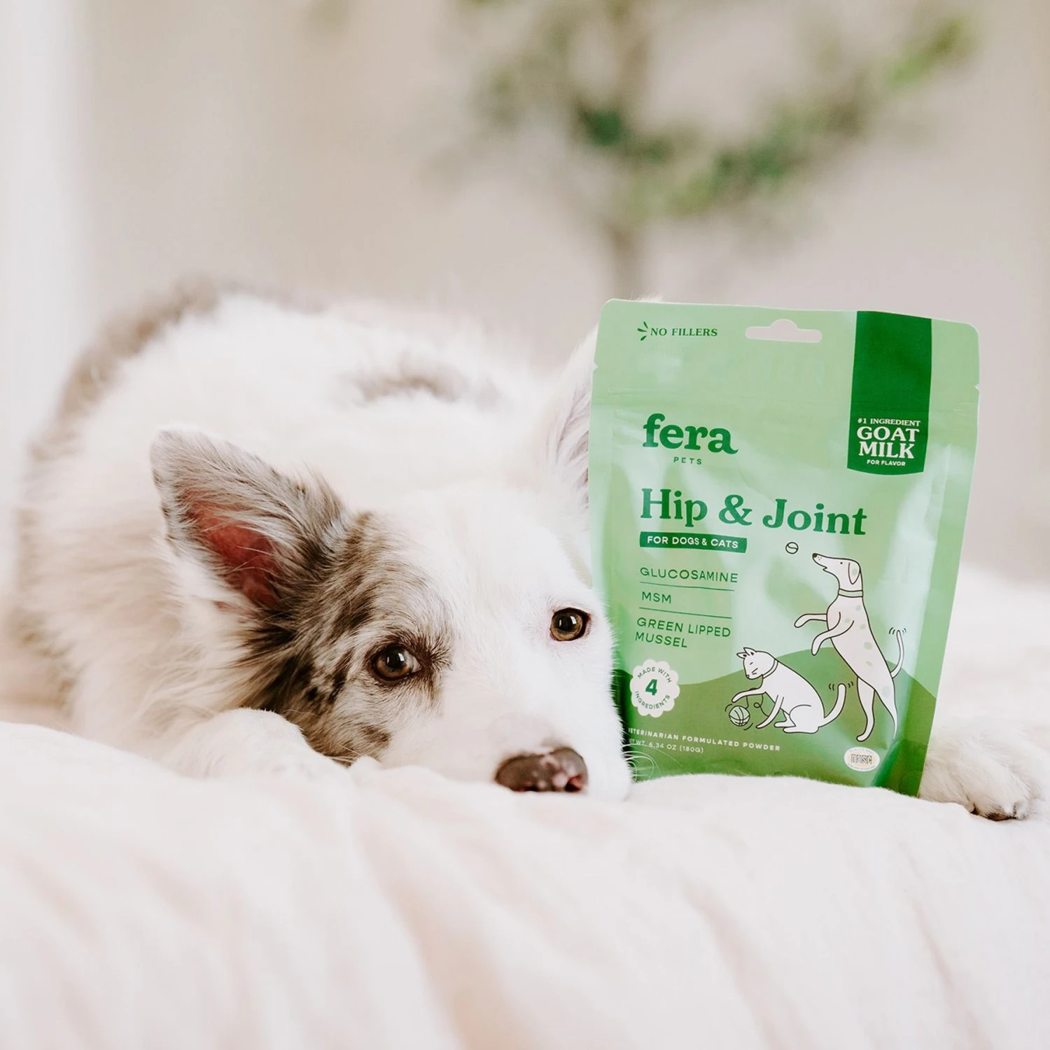 Fera Pet Organics Hip + Joint Goat Milk Topper For Dogs & Cats, 60 Count 4 Fera Pet Organics Hip + Joint Goat Milk Topper For Dogs & Cats, 60 Count - Image 4