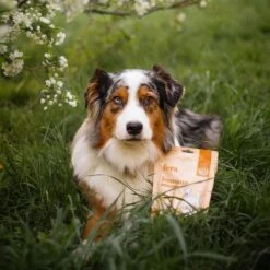 Fera Pet Organics Immune Goat Milk Topper For Dogs & Cats, 60 Count -Pet Wellness 951718 PT4. AC SS1800 V1694619655